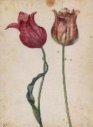 Georg Flegel Two Tulips France oil painting artist